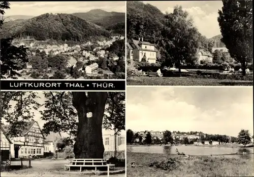 Ak Thal Ruhla in Thüringen, Blick vom alten Keller, Anlagen, 600jährige Linde, Schwimmbad