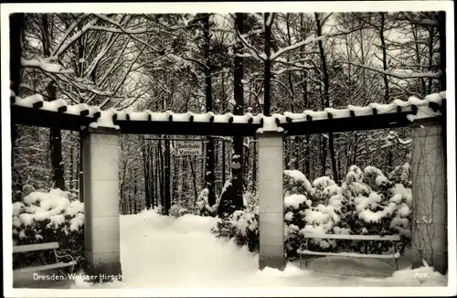 Ak Dresden Blasewitz, Eingang zum Waldpark im Winter, Schnee