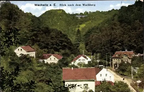 Ak Dresden Wachwitz, Blick nach dem Wachberg