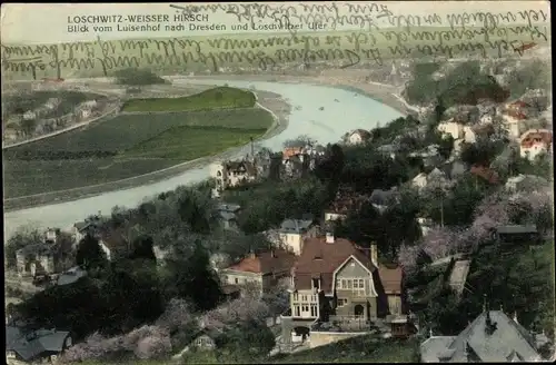 Ak Dresden Loschwitz Weißer Hirsch, Blick vom Luisenhof nach Dresden und Loschwitzer Ufer