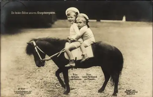 Ak Die beiden Söhne unseres Kronprinzenpaares, Prinz Wilhelm und Prinz Louis Ferdinand