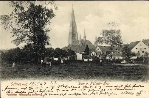 Ak Schleswig an der Schlei, Dom vom Holmer Noor