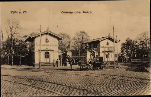 Ak Köln am Rhein, Zoologischer Garten, Eingang, Kutsche