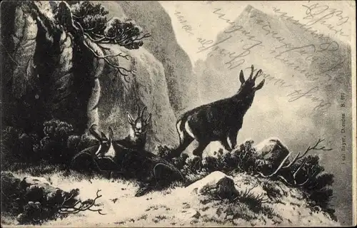 Ak Bergziegen, Berglandschaft