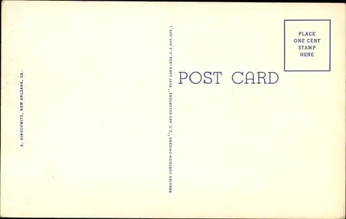 Ak Yas sun, of course, I'se happy down South, Amerikanerin, Portrait, Hut