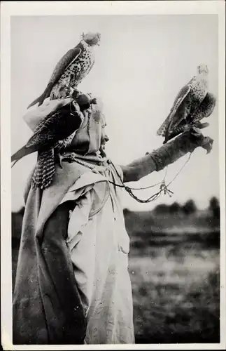 Ak Fauconnier Arabe, Arabischer Falkner, Falken auf dem Arm