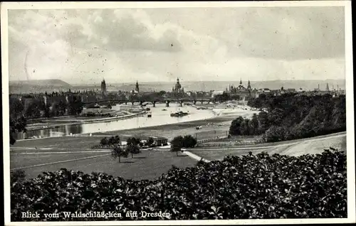 Ak Dresden Neustadt Radeberger Vorstadt, Blick vom Waldschlösschen auf Dresden
