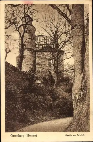 Ak Ortenberg in Hessen, Partie am Schloss