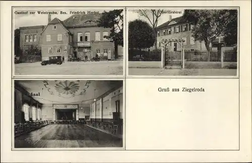 Ak Ziegelroda Querfurt im Saalekreis, Gasthof zur Weintraube, Saal, Oberförsterei