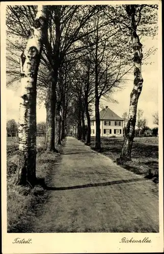 Ak Tostedt in Niedersachsen, Birkenallee