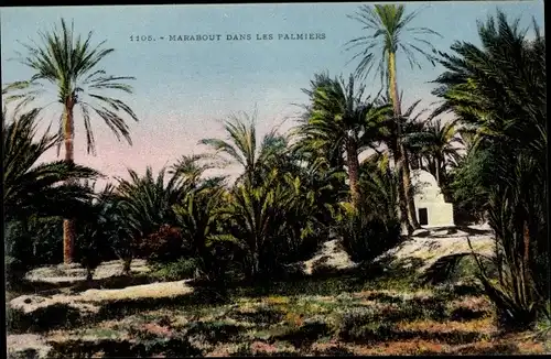 Ak Marabout Sidi Mohand Amokran Algerien, dans le Palmiers