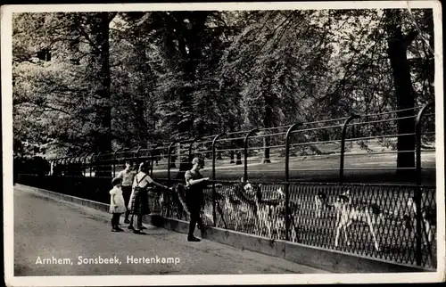 Ak Arnhem Gelderland Niederlande, Sonsbeek, Hertenkamp