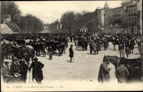 Ak Caen Calvados, Le Marché aux Chevaux