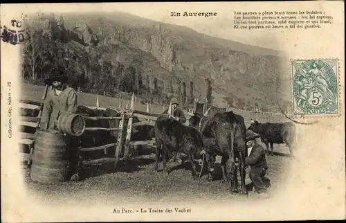 Ak Puy de Dôme, au Parc, La Traite des vaches