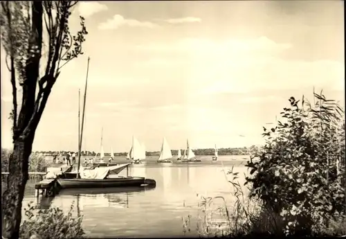 Ak Arendsee in der Altmark, See, Segelboote