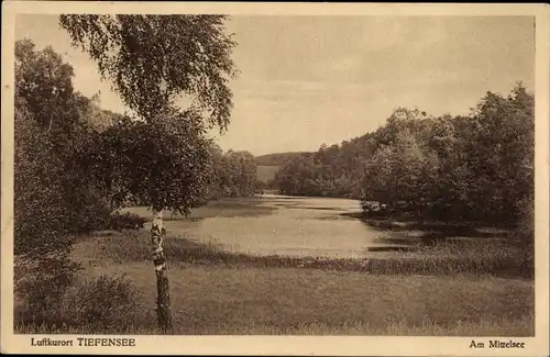 Ak Tiefensee Werneuchen, Blick vom Park auf den Mittelsee