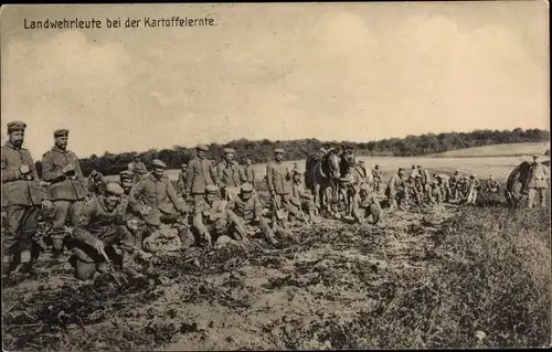 Ak Landwehrleute bei der Kartoffelernte, Soldatenlebe, I. WK