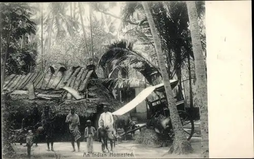 Ak Indien, An Indian Homested