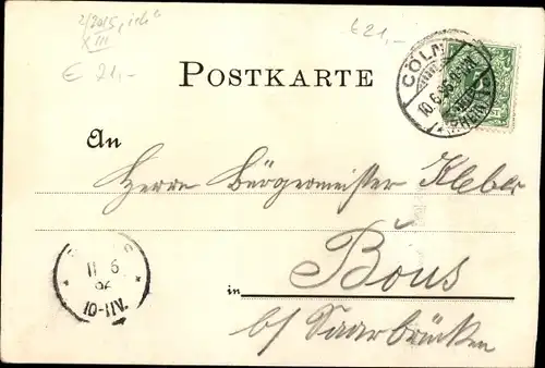 Ak Köln am Rhein, Flora