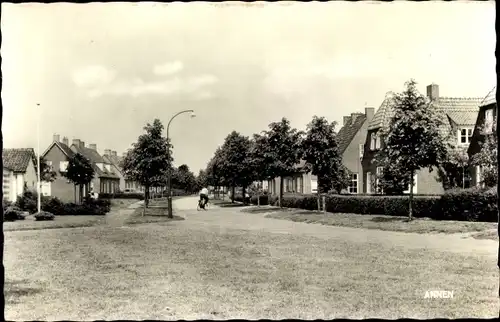 Ak Annen Drenthe Niederlande, Ortsansicht, Wiese