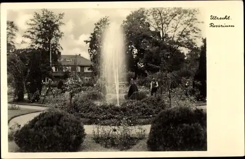 Ak Utrecht Niederlande, Rosarium