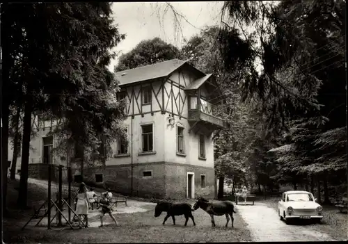 Ak Döbeln Sachsen, Waldgaststätte Margareten Mühle, Esel