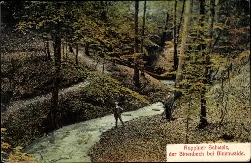 Ak Binenwalde Gühlen Glienicke Neuruppin in Brandenburg, Binenbach, Wald