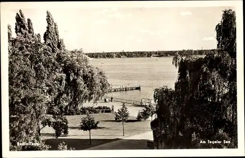 Ak Berlin Reinickendorf Tegel, Tegeler See