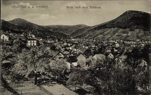 Ak Neustadt an der Haardt Neustadt an der Weinstraße, Blick nach dem Schöntal