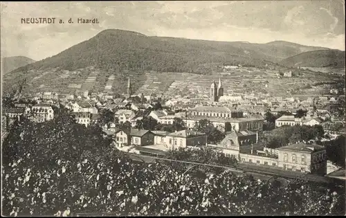 Ak Neustadt an der Haardt Neustadt an der Weinstraße, Panorama