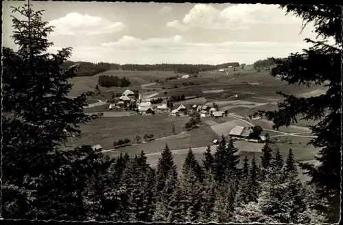 Ak Waldau Titisee Neustadt im Breisgau Schwarzwald, Panorama