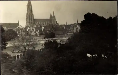 Foto Ak Ulm an der Donau, Ortsansicht, Dom