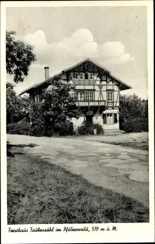 Ak Taubensuhl Landau in der Pfalz, Forsthaus Taubensuhl, Waldgasthaus und Pension