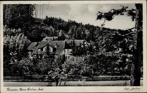 Ak Finsterbergen Friedrichroda im Thüringer Wald, Haus Grüne Aue