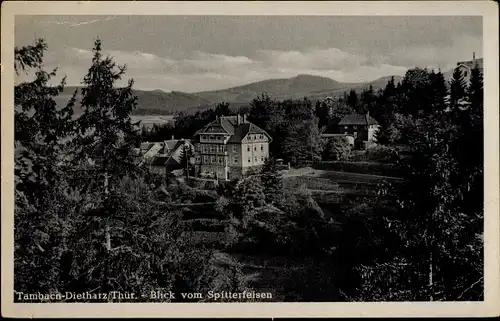 Ak Tambach Dietharz in Thüringen, Blick vom Spitterfelsen