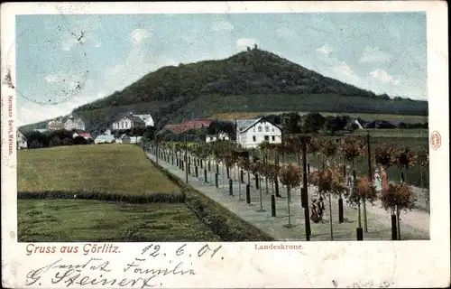 Ak Görlitz in der Lausitz, Landeskrone
