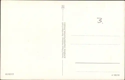 Ak Schellerhau Altenberg im Erzgebirge, Mathaeusweg, Baum