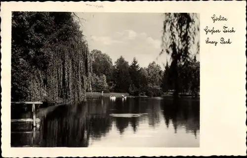 Ak Görlitz in der Lausitz, Großer Teich im Snay Park, Trauerweide
