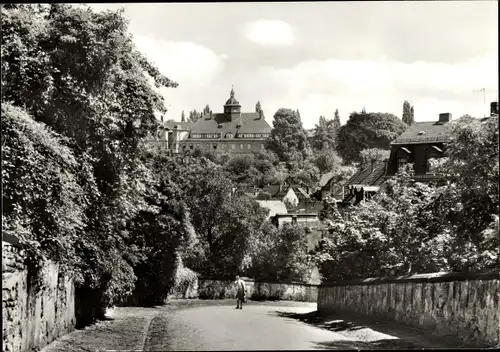 Ak Altenburg in Thüringen, Blick zum Magdalenenstift
