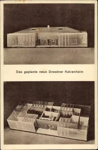 Ak Das geplante neue Dresdner Katzenheim