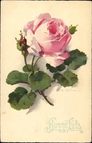 Künstler Ak Klein, Catharina, Rosenblüte