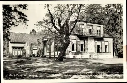 Ak Borger Drenthe Niederlande, Gebäude, Baum