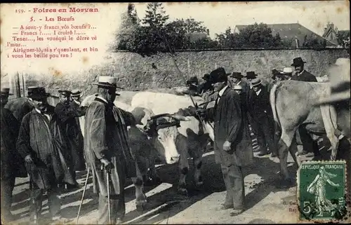 Ak Le Morvan Côte d'Or, La Foire, les Boeufs