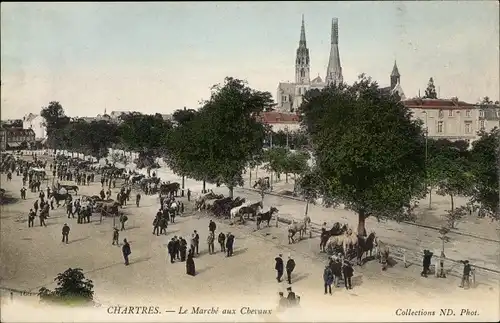 Ak Chartres Eure et Loir, Le Marché aux Chevaux