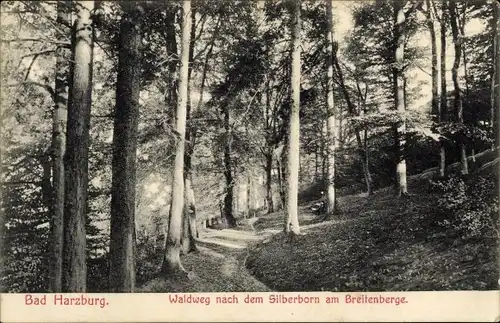Ak Bad Harzburg am Harz, Waldweg nach dem Silberborn am Breitenberge