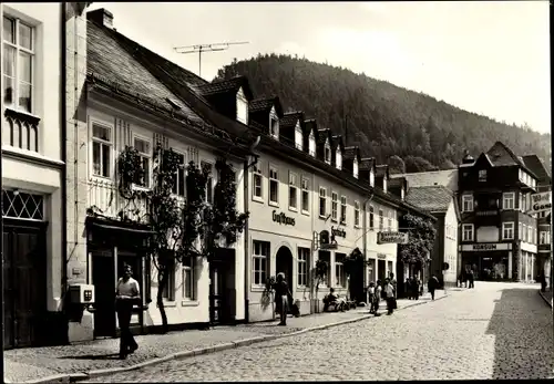 Ak Bad Leutenberg Thüringen, Hauptstraße, Gasthof