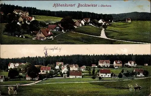 Ak Hahnenklee Bockswiese Goslar in Niedersachsen, Blick auf den Ort, Rehe auf der Wiese