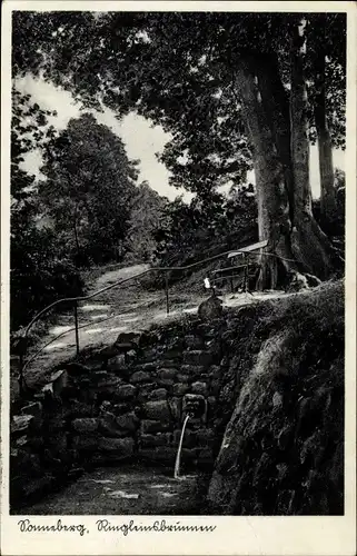 Ak Sonneberg in Thüringen, Ringleinsbrunnen