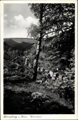 Ak Sonneberg in Thüringen, Grüntal, Panorama