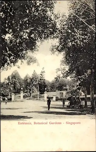 Ak Singapore Singapur, Botanical Gardens